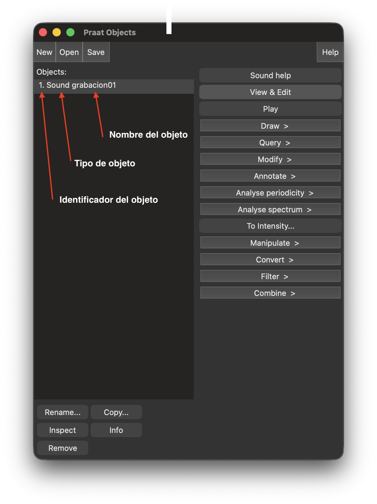 Panel en de objetos con la grabación